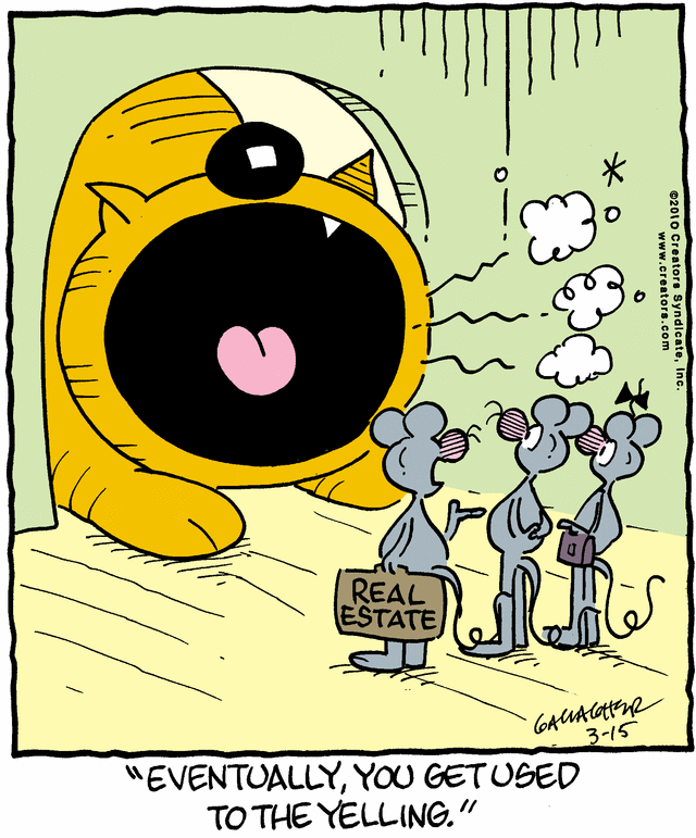 heathcliff